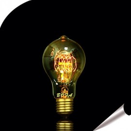 E27 25W A19 Edison Tungsten Filament Bulb 60