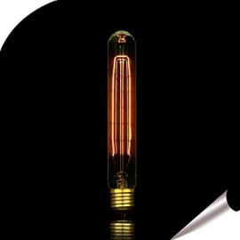 E27 60W T30 Tungsten Bulb 12 Art Deco Anka Edison Tungsten Light Source