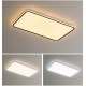 Modern Dimmable Rectangle Flush Mount Ceiling Light Indoor Lighting Fixture