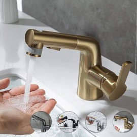 Pull out Spray Brass Rotatable 2 Outlet Modes Multifunctional Single Handle Bath Tap