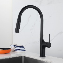 Single Handle Electroplated Painted Finishes Pull out Tall High Arc Modern Kitchen Tap