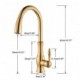 Pull out Spray Brass 2 modes Single Handle Modern Style Kitchen Tap