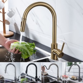 Pull out Spray Single Handle 2 modes Brass Kitchen Tap