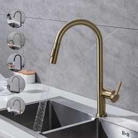 Pull out Spray Single Handle Brass High Arc 2 modes 360 DegreesRotatable Modern Kitchen Tap