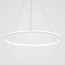 Modern Pendant Light Circle Lamp 60cm/80cm